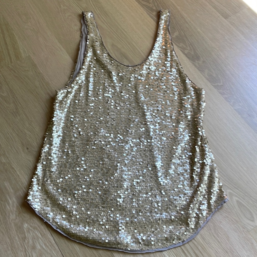 Aritzia Talula Sequin Tank